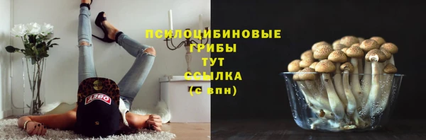 apvp Абаза