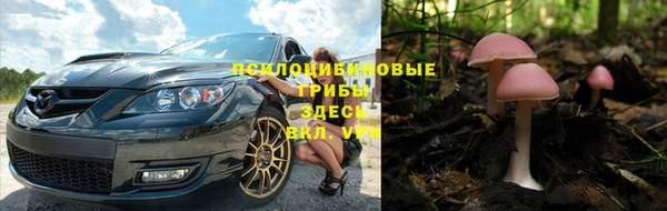 мет Абинск