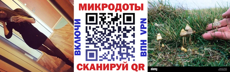 Галлюциногенные грибы мухоморы  Нальчик 