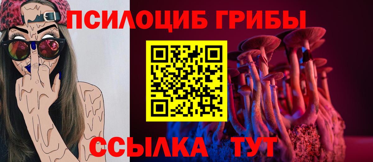 Нальчик  Псилоцибиновые грибы Psilocybe  Вход с VPN 