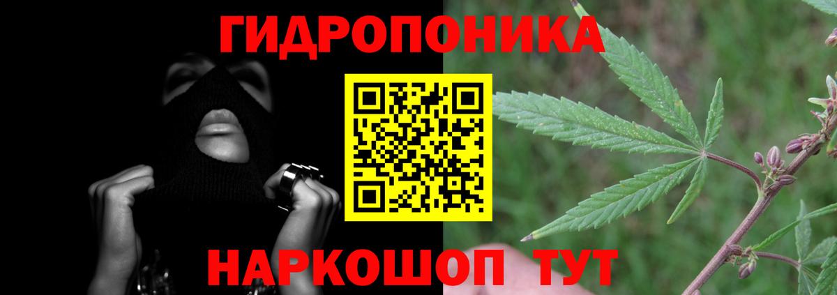 Каннабис индика  Вход с VPN  Конопля Bruce Banner  Нальчик 